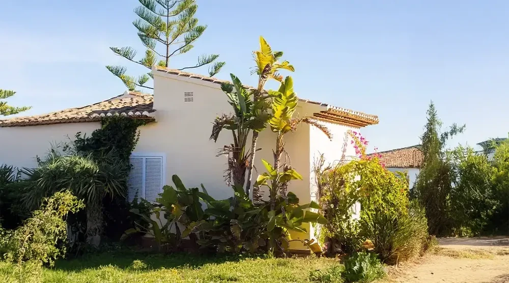 Extérieur résidentiel méditerranéen avec villa blanche à toiture tuiles terre cuite, jardin tropical luxuriant avec palmiers, bananiers et végétation dense